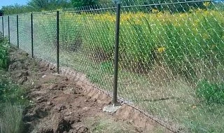 �����: ����� �� ������ ������� ����� � ������
